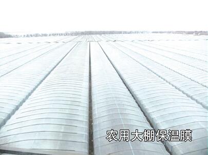 母料在吹膜-工業(yè)、農(nóng)業(yè)、包裝中的運(yùn)用